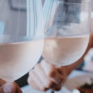 Rosé toute la journée : Comment choisir le rosé idéal pour l'été