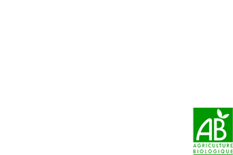 logotype